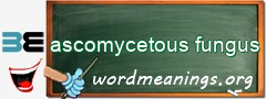 WordMeaning blackboard for ascomycetous fungus